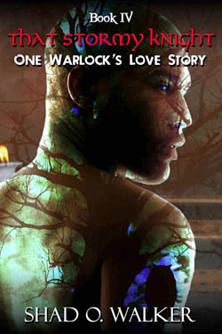 One Warlock's Love Story: That Stormy Knight