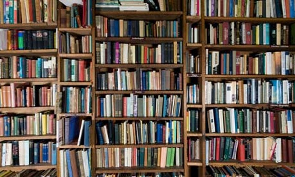 Books-on-a-bookshelf-008