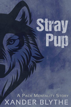 Stray Pup
