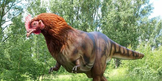 Dinosaur Chicken