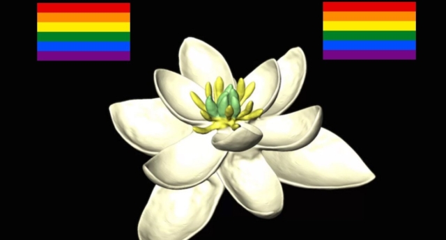 Bisexual Flower