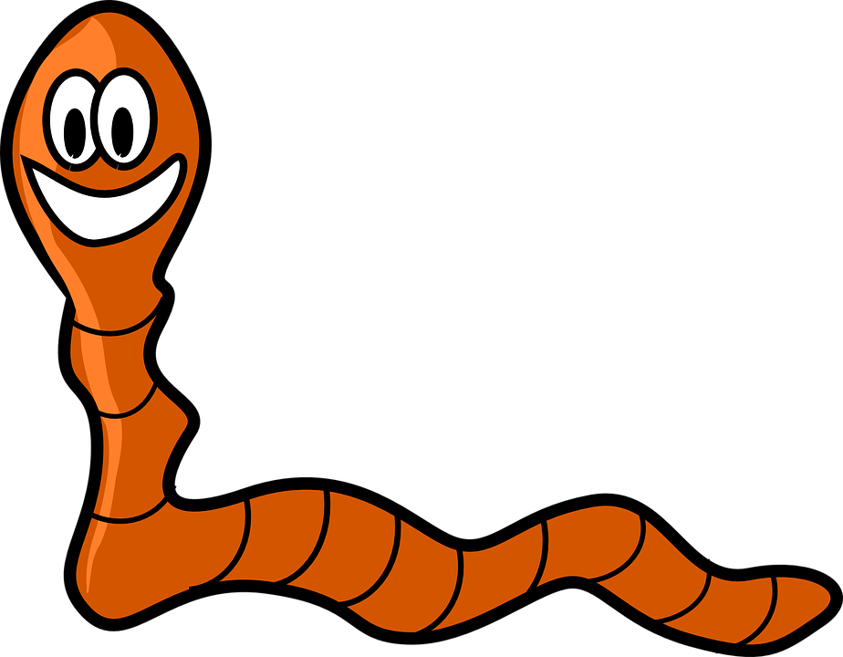 worm - pixabay