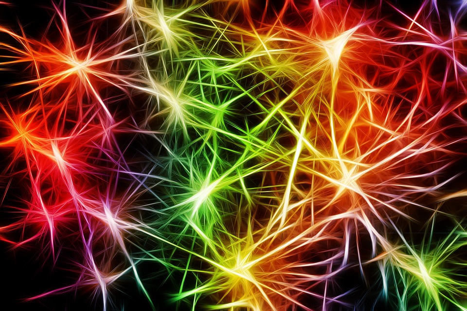 Neurons - Pixabay