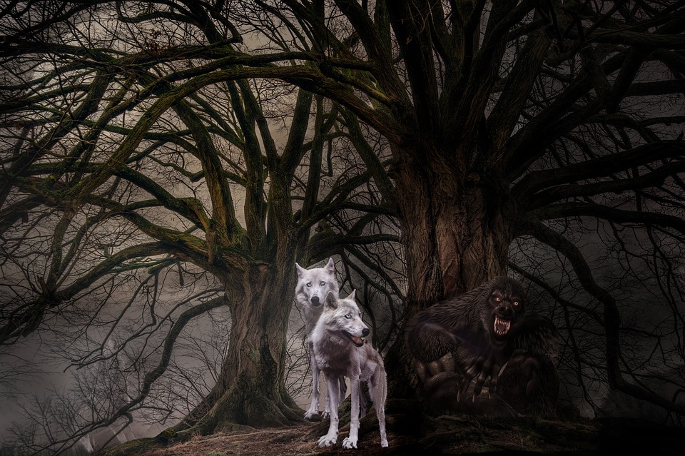 werewolves - pixabay
