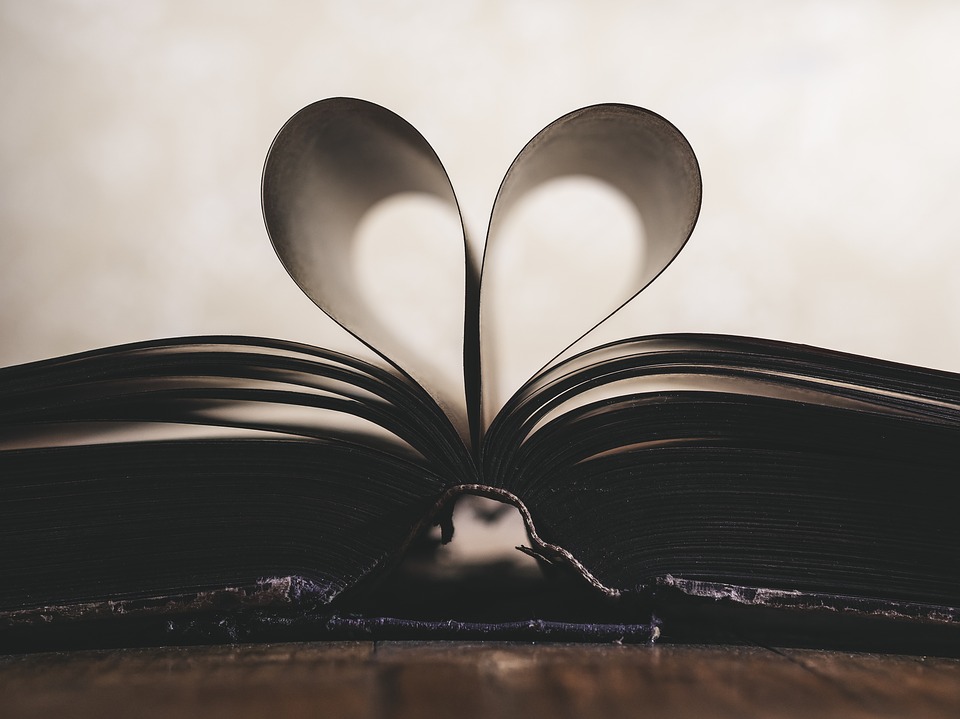 book - pixabay