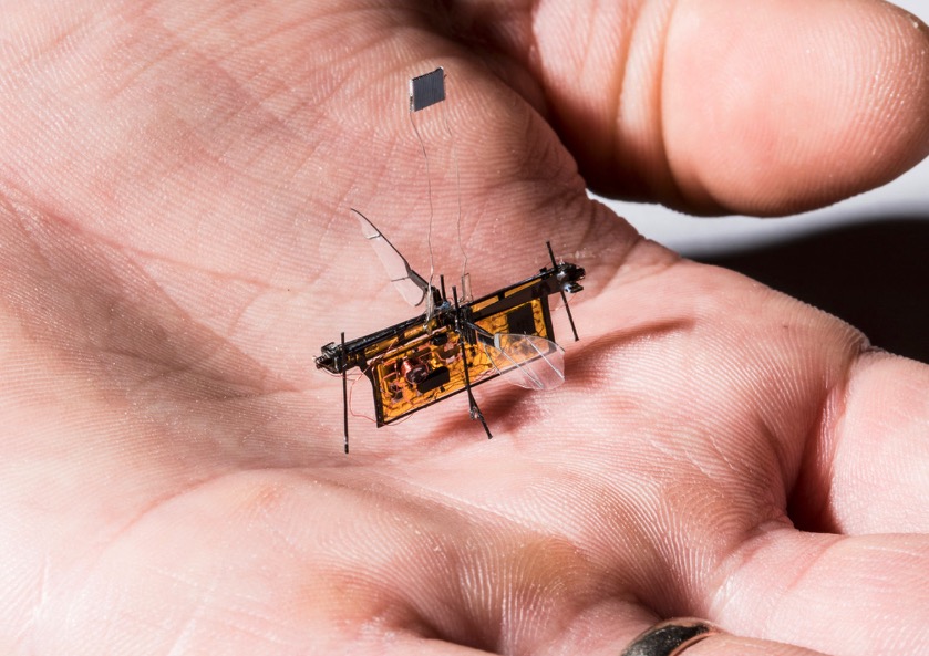 Robotic Fly