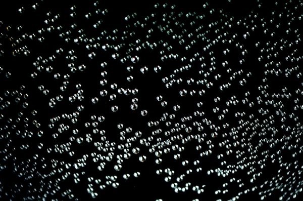 dark photon - pixabay