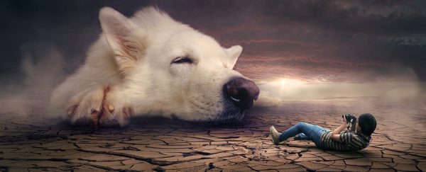 fantasy dog - pixabay