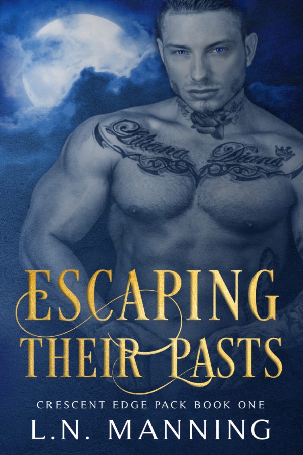 Escaping Their Pasts - L.N. Manning