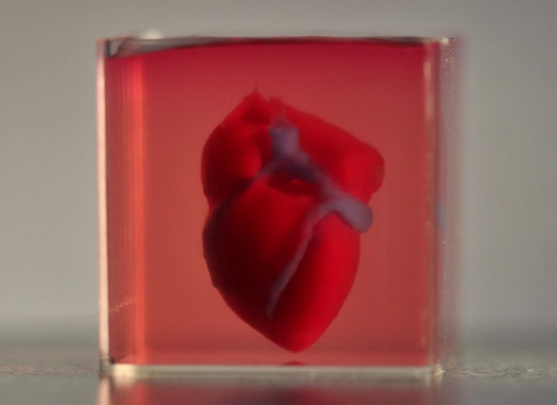 3D Heart - Live Science