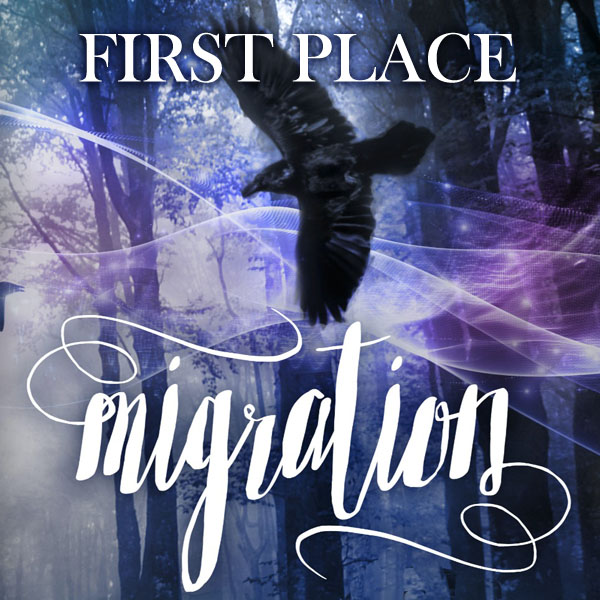 Migration First Place