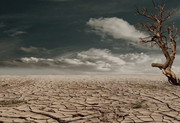 drought - pixabay