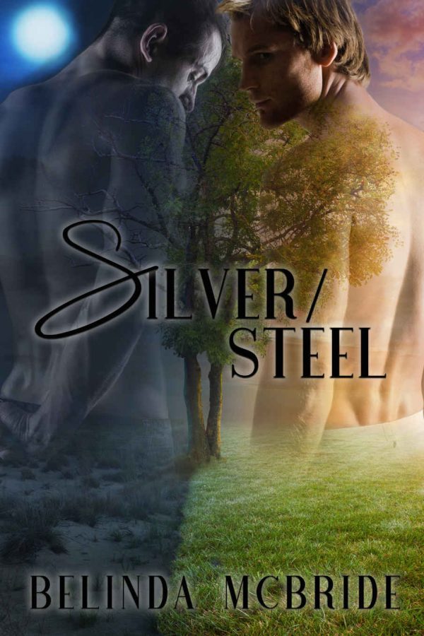 Silver/Steel (Arcada Book 2)
