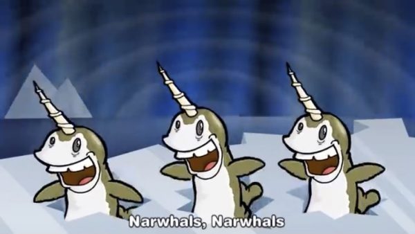 Narwhals