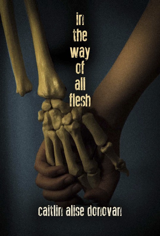 REVIEW: In The Way Of All Flesh, By Caitlin Alise Donovan