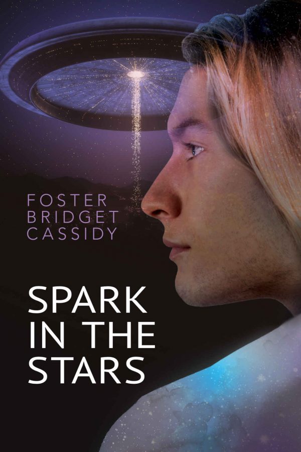 Spark in the Stars - Foster Bridget Cassidy
