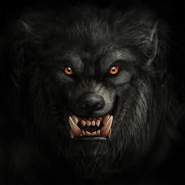 werewolf - pixabay