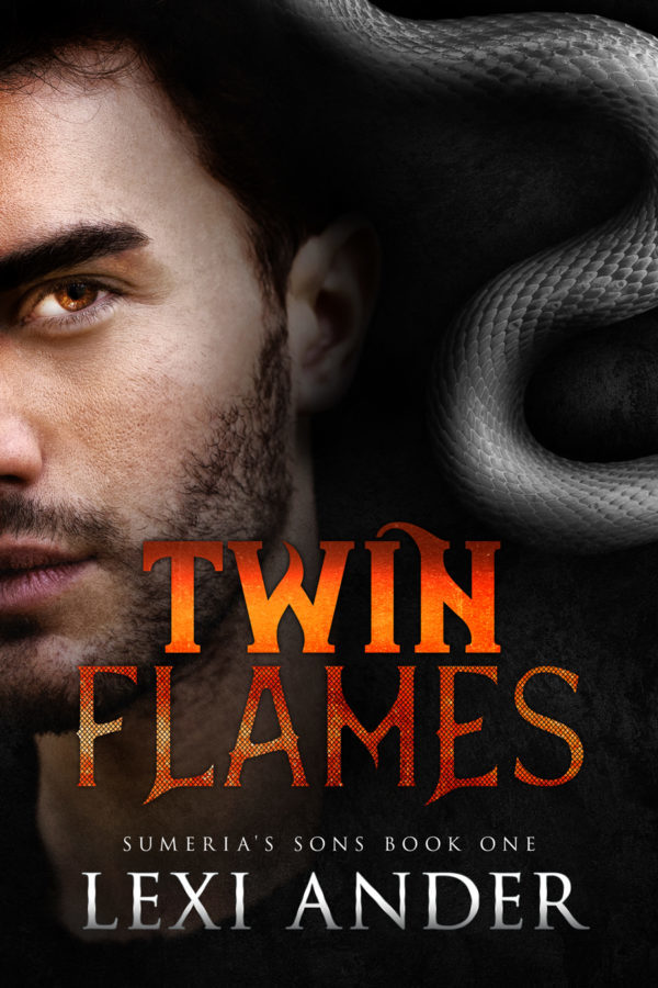 Twin Flames - Lexi Ander