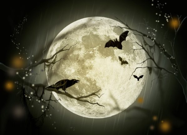 Halloween Moon - Pixabay