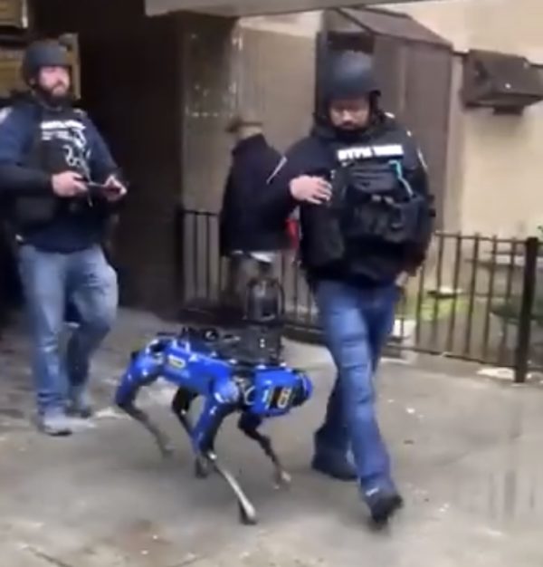 NYPD Robot Dog
