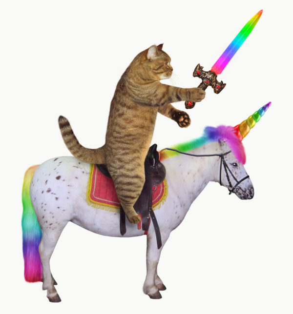 Cat riding unicorn with rainbow sword - deposit Photos