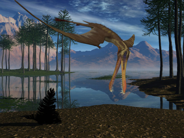 anhanguerian pterosaur - Deposit Photos