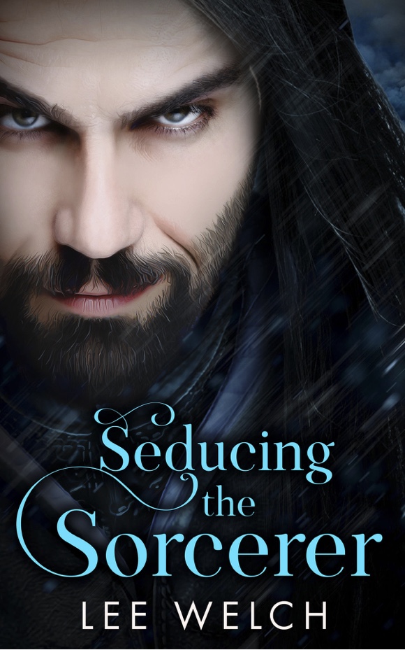 Seducing the Sorcerer - Lee Welch