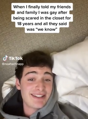 Noah Schnapp - TikTok