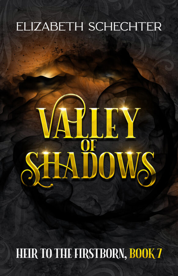 Valley of Shadows - Elizabeth Schecter
