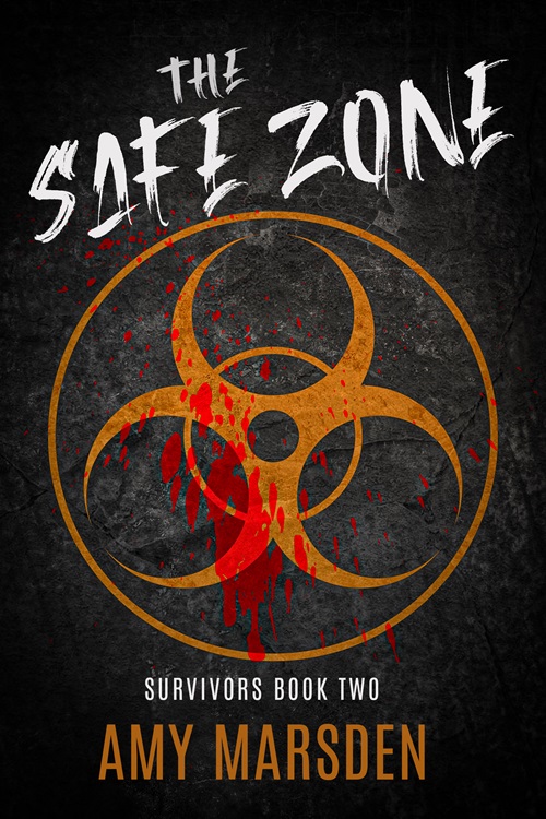 The Safe Zone - Amy Marsden